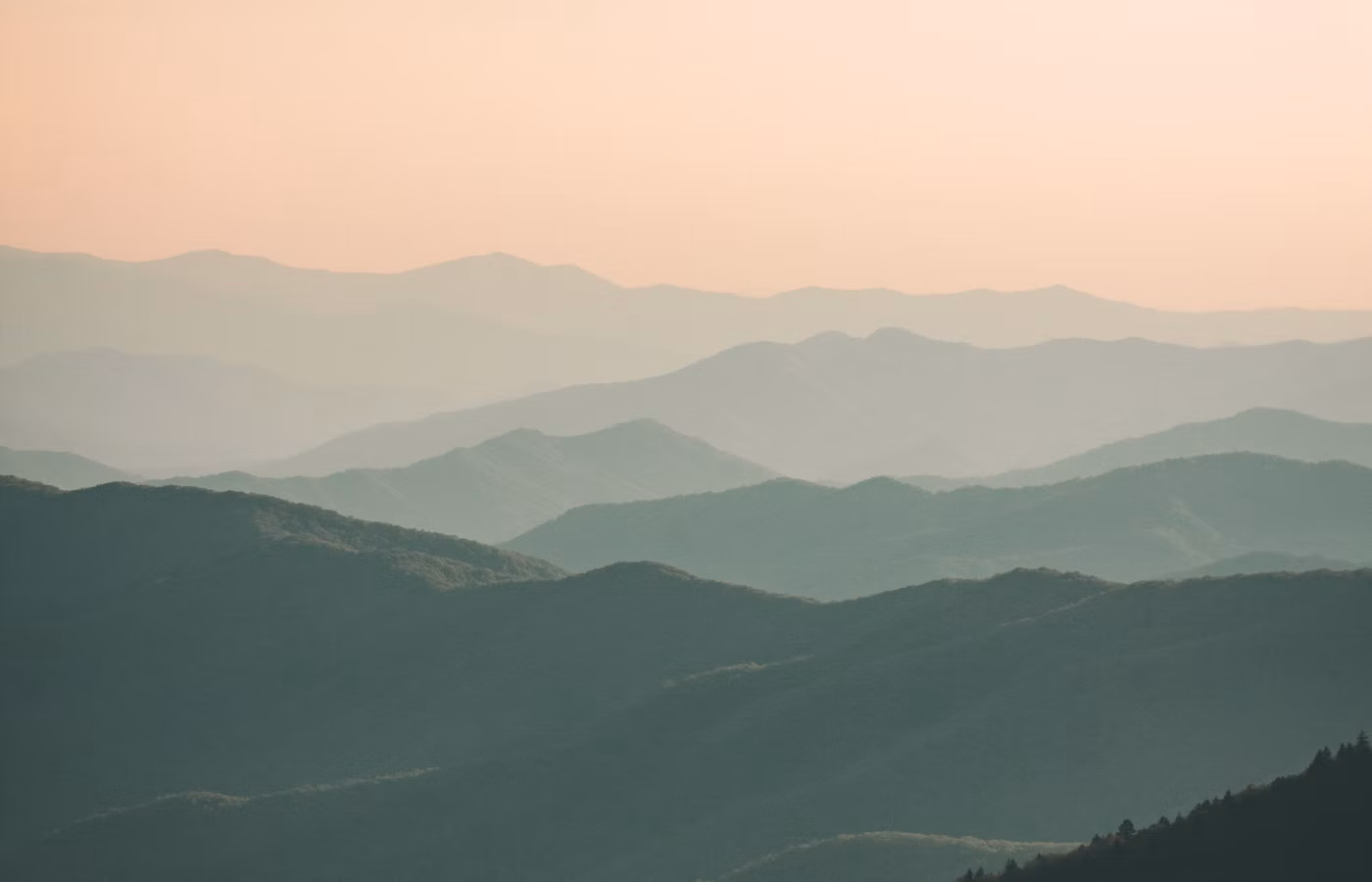 Осознанность для творческого профессионала